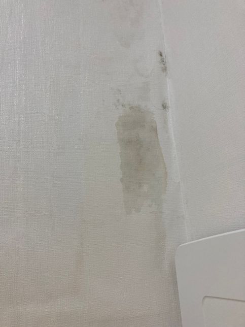 벽지에 곰팡이가 계속 생기는데 집 문제인지, 제가 책임을 져야할 상황인지 모르겠어요의 0번 째 이미지