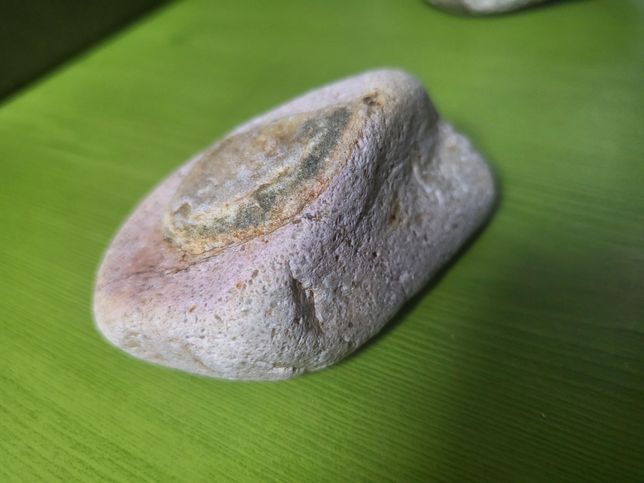 바다에서 돌을주웠는데 이게 무슨돌인가요의 0번 째 이미지