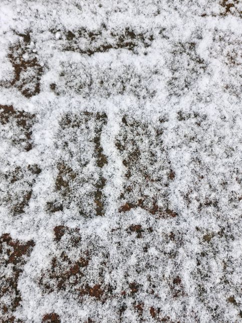 신기한 것을 발견했습니다 좀 알려주실 분?의 0번 째 이미지