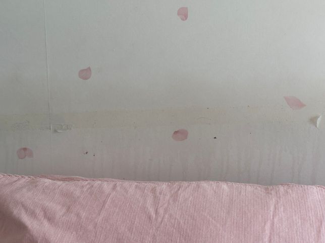 양면테이프의 끈적이 부분이 녹았는데 몸에 해로운 영향을 미치나요?의 0번 째 이미지