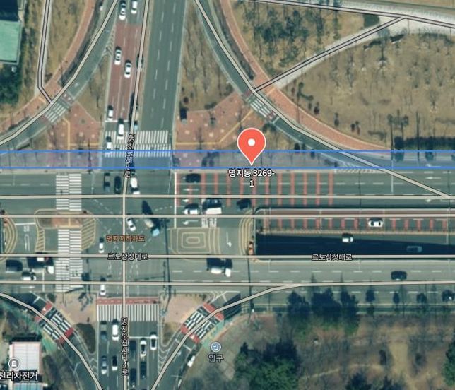 나무 이름 질문드립니다. 3종류에요.의 3번 째 이미지