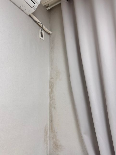 (임대차계약 만료 후 곰팡이) 도배•건축•법률 전문가님들 제발 도와주세요의 0번 째 이미지