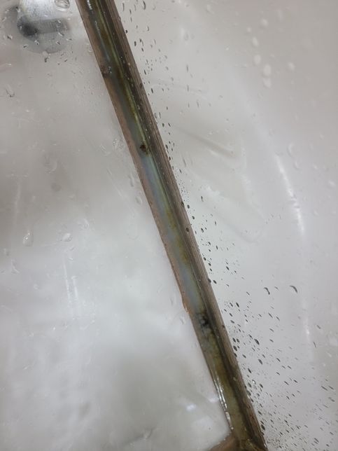 어항 실리콘에 곰팡이같은거 락스로 제거해도 될까요?의 0번 째 이미지