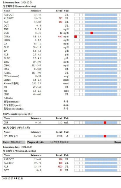강아지 양치껌 과다복용 후 간수치 상승 양상의 2번 째 이미지