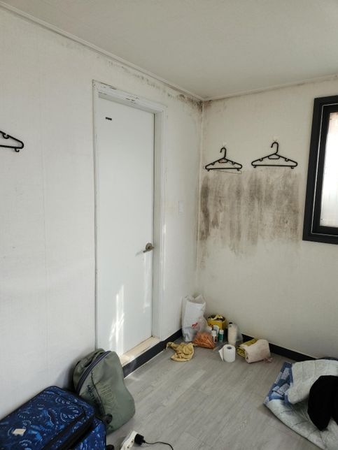 원룸 곰팡이 관련... 세입자,임대인 누구 탓일까요?의 0번 째 이미지