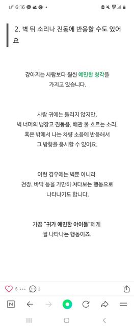 강아지 귀가 예민하지 않아도 이런 현상은 있을수있죠?의 0번 째 이미지