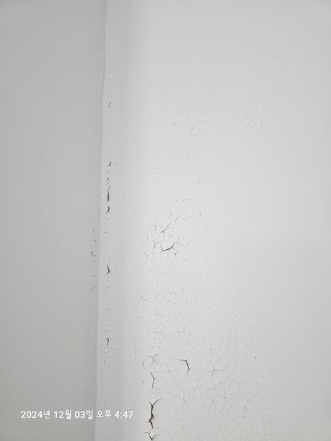 페인트 칠하고 2일만에 하자가 발생했어요ㅠ의 1번 째 이미지