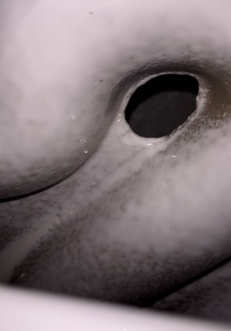 변기 뒤쪽 안에 이 구멍의 정체는 뭔가요?의 1번 째 이미지