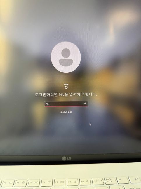 LG그램 17 로그인 오류 어떻게 해결하죠?의 0번 째 이미지