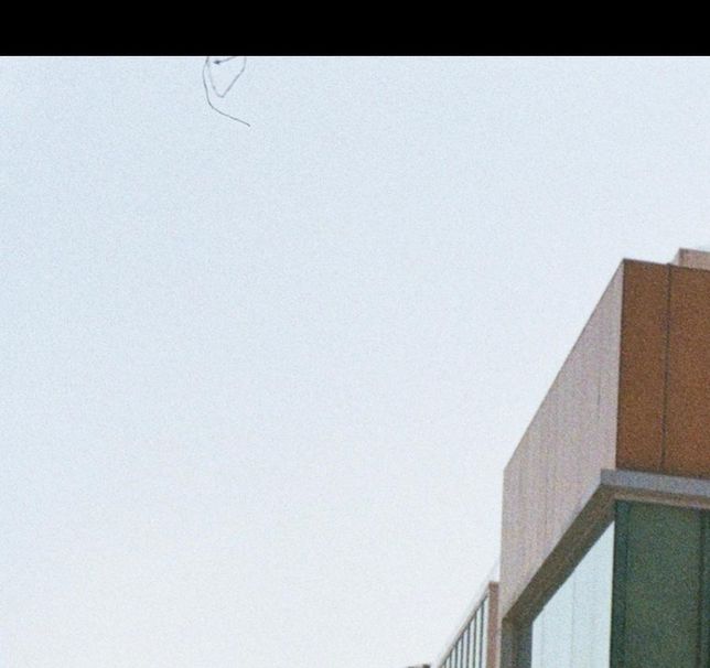 필름 카메라로 찍은 사진에 이상한 자국 같은 게 있어요의 1번 째 이미지