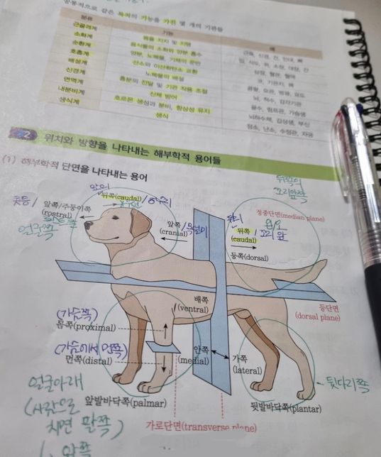 동물 보건사 자격증, 수의테크니션 정리책 찾아요..의 2번 째 이미지