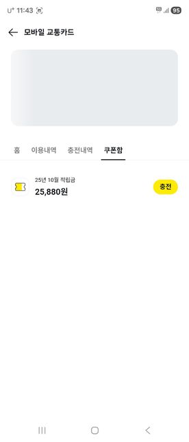 카카오톡 k패스교통카드 먹통 어떻게 고치나요?의 0번 째 이미지