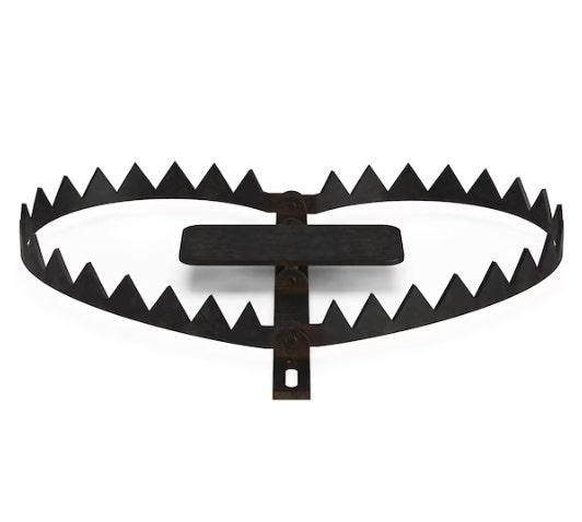 전원주택 사는 사람이 마당에 덫 깔아놓으면의 1번 째 이미지