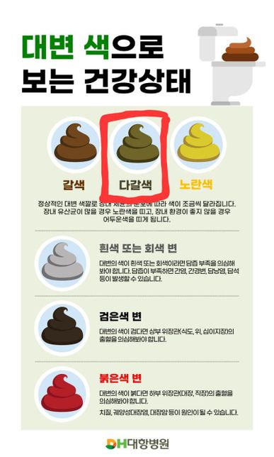 집고양이가 갑자기 무른 변을 봤어요..의 1번 째 이미지