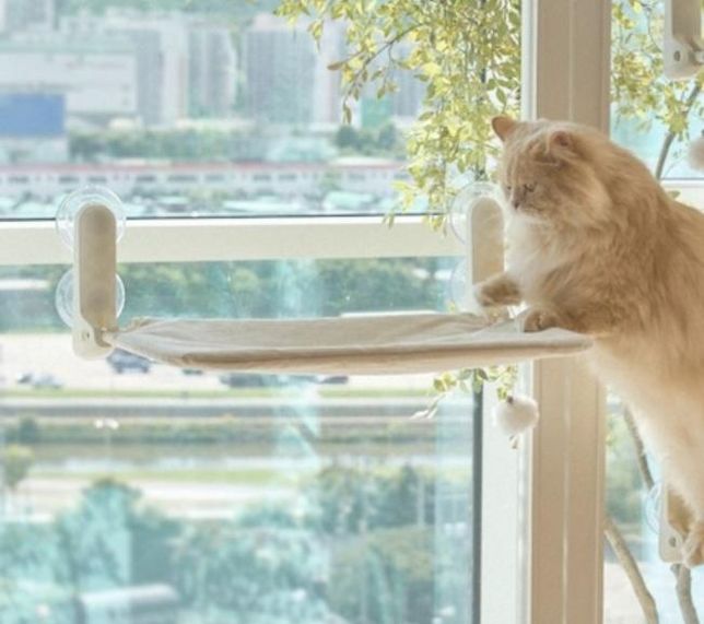 창문에 달아줄건데 어떤게 더 안전한가요?의 0번 째 이미지