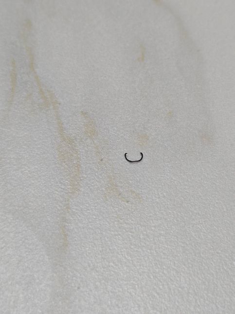 이거 뭘까요? 집에서 자꾸 발견됩니다.의 0번 째 이미지