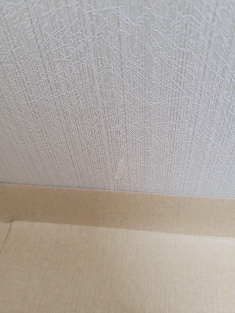 벽지에대해서 질문드릴려고하는데요의 0번 째 이미지