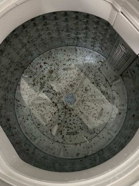 이정도면 세탁기 가망없는건가요? 통세척 2번째에요 벌써의 0번 째 이미지