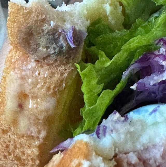 샌드위치 빵 곰팡이 인지 봐주세요!!의 0번 째 이미지