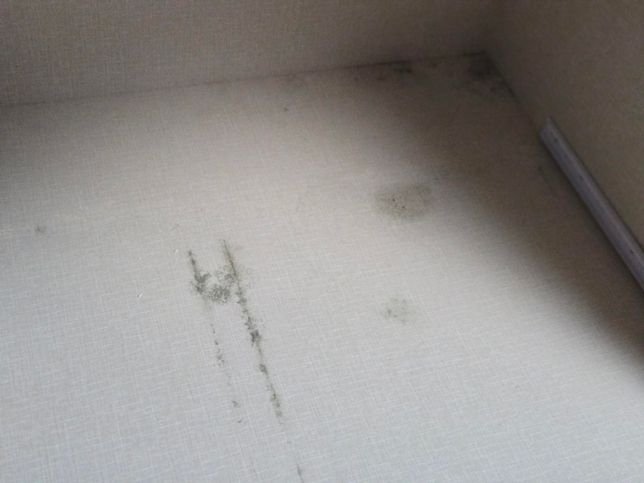 자취방에 누수로 인한 곰팡이 문제 도와주세요의 3번 째 이미지