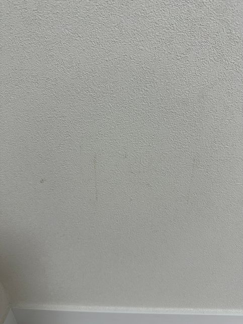 실크벽지 인조가죽으로 인한 오염 지우는법?의 0번 째 이미지