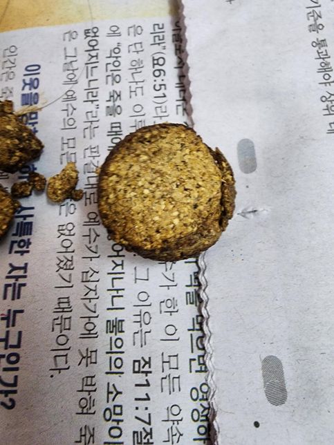 강아지똥에 알갱이들이 많은데 문제가 있을까요?의 1번 째 이미지