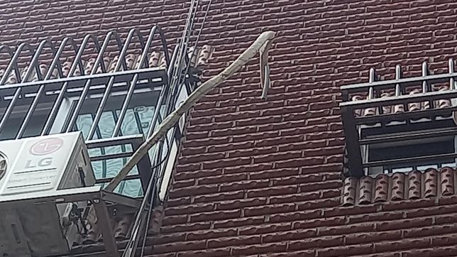 에어컨 배수 호스 연장? 비용 얼마나 들까요??의 0번 째 이미지