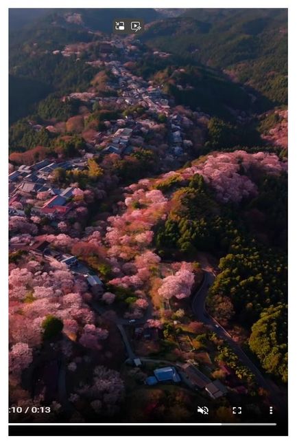 엣지 브라우저에서 링크된 동영상 재생시 확대된 상태로만 재생이 되는 것 어떻게 해야 하나요?의 0번 째 이미지