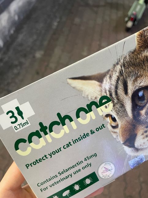 고양이 심장사상충 발라도 되는지 궁금해요의 0번 째 이미지