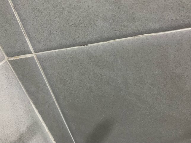 월세집 화장실 타일 줄눈이 떨어져나갔는데의 3번 째 이미지