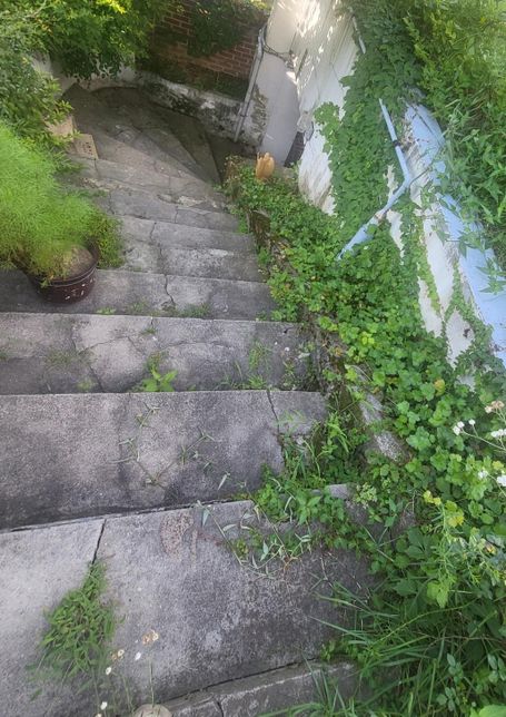 시멘트 계단 보수 방법 및 재료에 대해서 물어봅니다ㅠㅠ의 0번 째 이미지