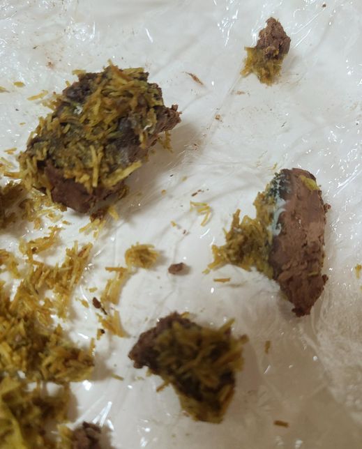 케이크에 곰팡이? 핀건가요? 이미 먹었는데 병원가야 하나요?의 1번 째 이미지