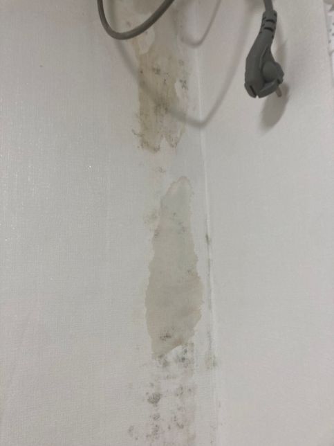 벽지에 곰팡이가 계속 생기는데 집 문제인지, 제가 책임을 져야할 상황인지 모르겠어요의 1번 째 이미지