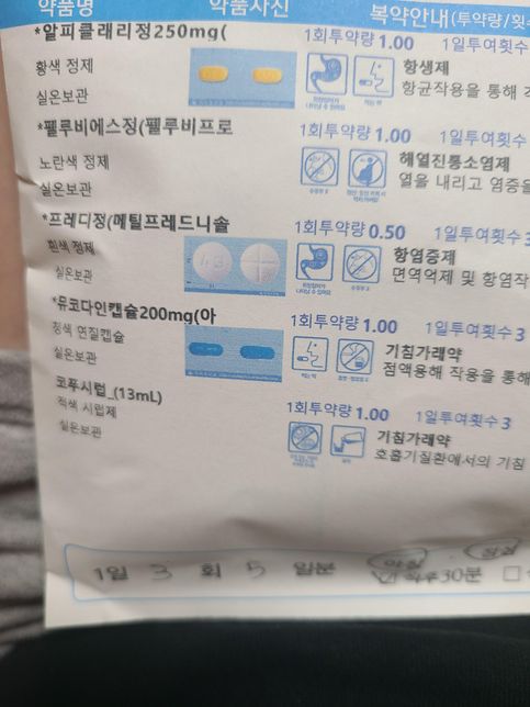 감기약을처방받았는데..혹시열이난다면 어떤걸먹여야하나요의 0번 째 이미지