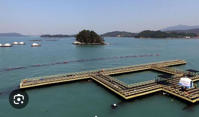 바다낚시터가 건조물에 해당하는지 여부와 해당한다면 야간에 2명에서 침입하여 낚시를 한 경우 야간건조물침입절도와 특수절도로 의의 0번 째 이미지