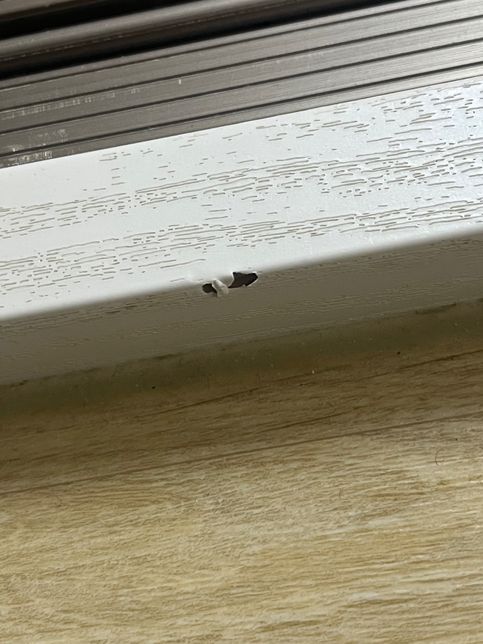 문틀 페인트가 까졌는데 페인트칠 하면 되너요?의 0번 째 이미지