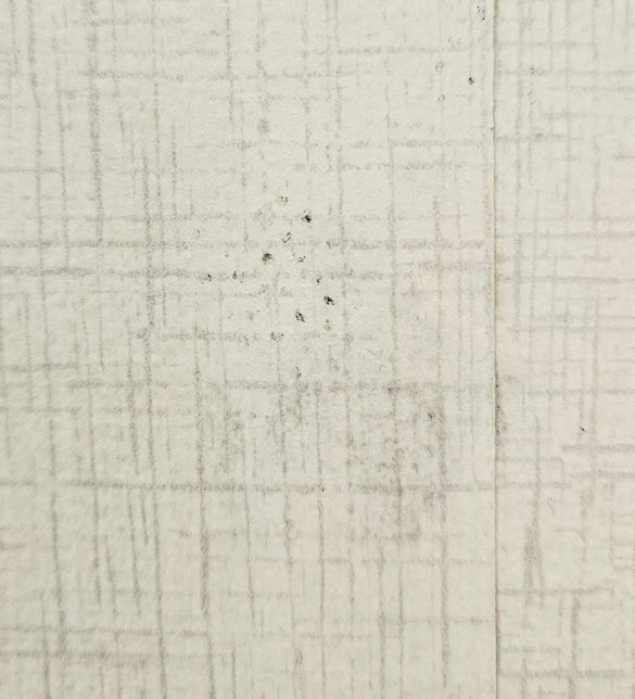 원룸곰팡이원룸곰팡이원룸곰팡이원의 0번 째 이미지