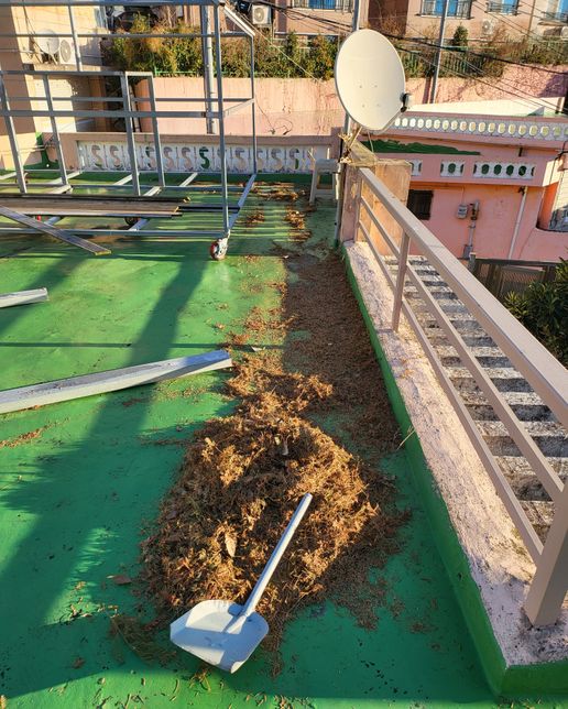 옆집에서 나무잎이 옥상으로 날아온다.의 0번 째 이미지