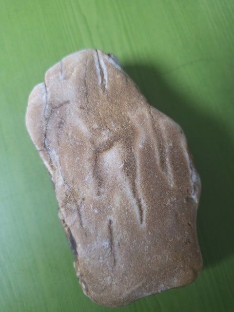 바다에서 돌을주웠는데 이게 무슨돌인가요의 0번 째 이미지