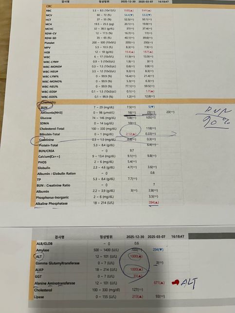 강아지 간수치 한번 봐주실 선생님 계실까요?의 0번 째 이미지