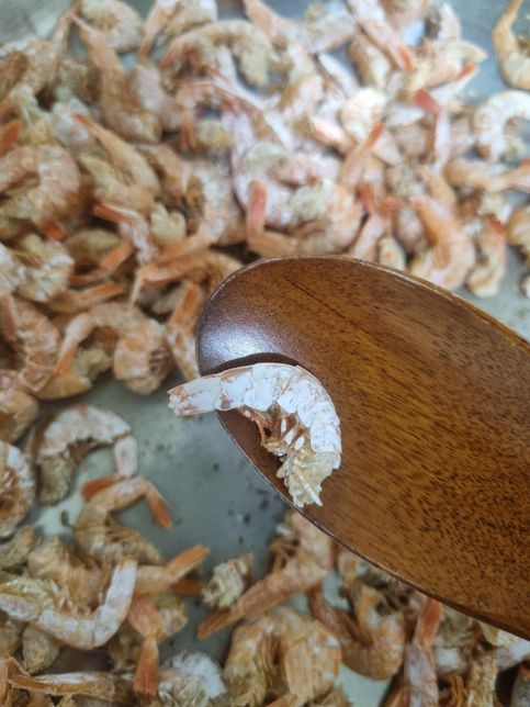 냉동 건새우 일부가 새하얀 색인 이유에 대하여의 0번 째 이미지