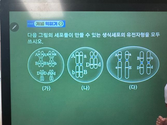 생식세포 유전자형 구분하는 방법..의 0번 째 이미지