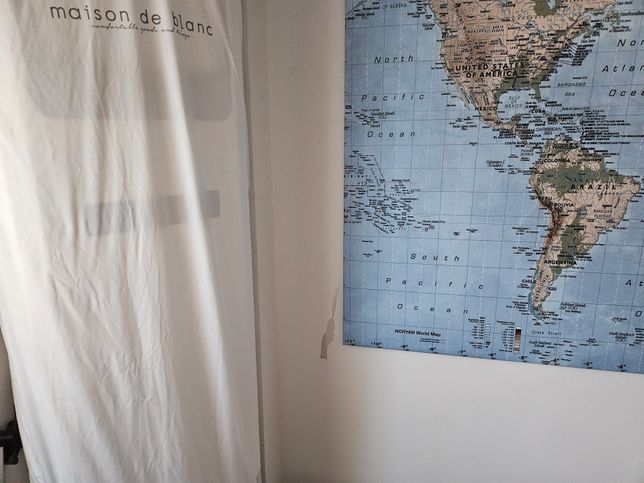 고양이가 벽지를 뜯었어요. 혹시 이런 경우에 해결 방법이 있을까요?의 0번 째 이미지