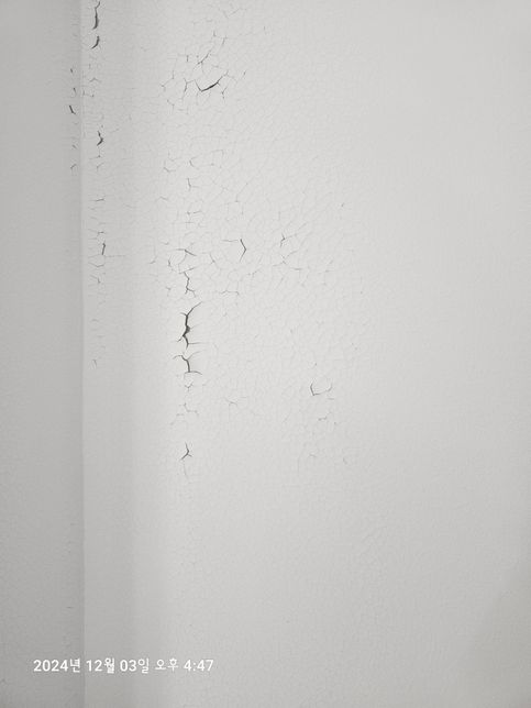 페인트 칠하고 2일만에 하자가 발생했어요ㅠ의 2번 째 이미지