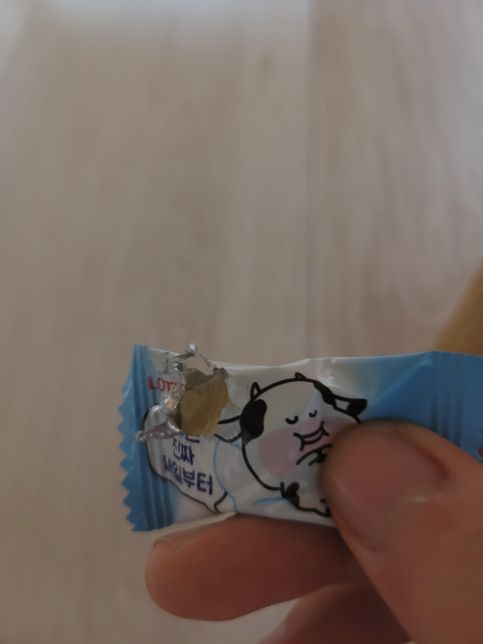 햄스터가 말랑카우를 먹었습니다..의 0번 째 이미지