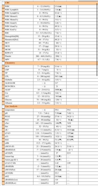강아지(13살) 췌장염 사료 문의드립니다.의 0번 째 이미지