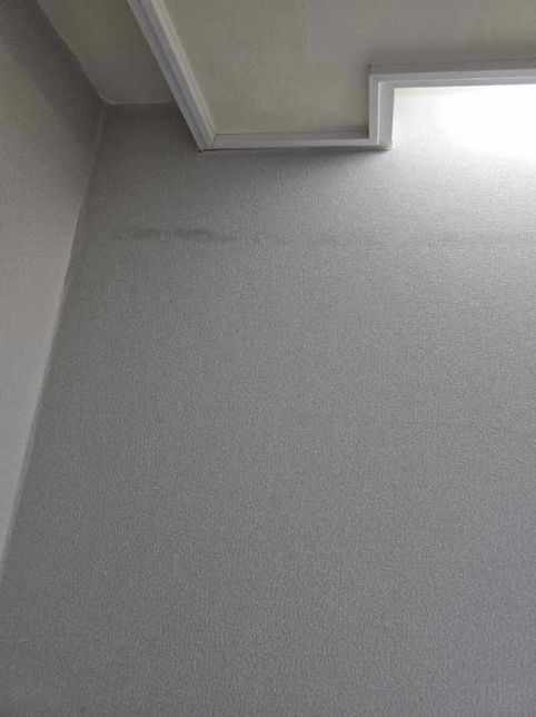 월세 임차인 퇴실시 벽지 변색, 곰팡이 질문드립니다의 0번 째 이미지