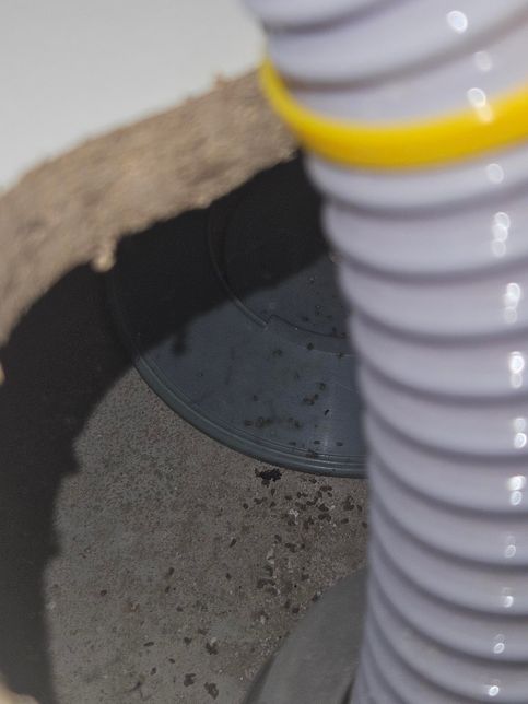 이사 왔는데 충격입니다 도대체 이게 무엇일까요의 0번 째 이미지