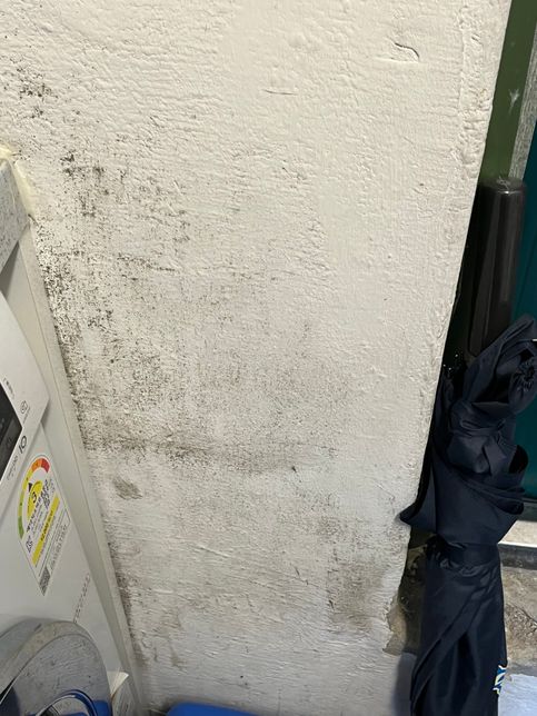 부엌 시멘트벽 곰팡이가 생기는데 방법이 있을까요??의 1번 째 이미지