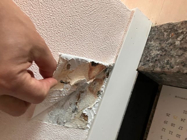 집주인이 무리한 요구[전세/월세 원상복구 및 보증금 반환 관련 문의]의 1번 째 이미지